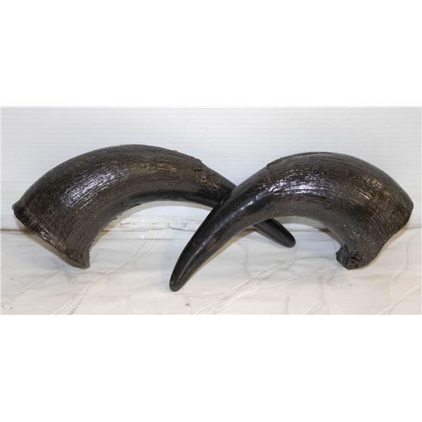 VARNISHED FAUX BISON HORNS