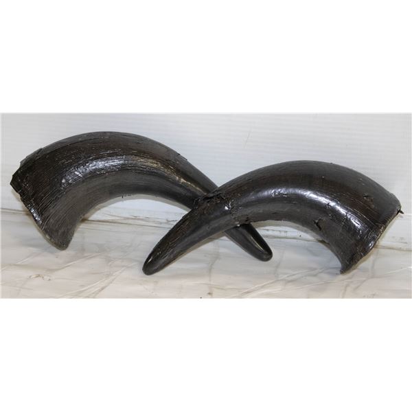 VARNISHED FAUX BISON HORNS