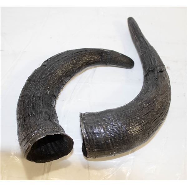 VARNISHED FAUX BISON HORNS