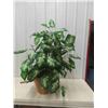 Image 1 : Artificial Plant 48" Tall