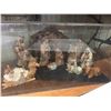 Image 1 : Bethlehem Nativity Scene in Display Case - no dusting  19" x 21" x 36"