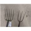 Image 2 : Hay Fork , Manuer Fork -We Have Both Ends Covered