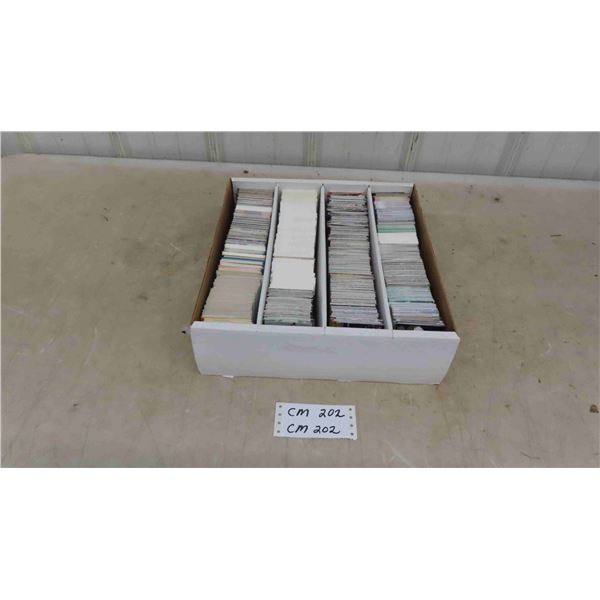 Hockey Card Collection - 3000 Cards