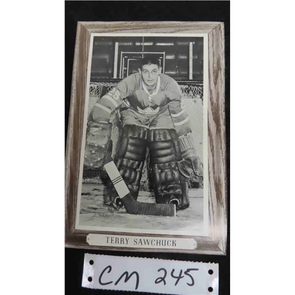 Terry Sawchuck Toronto Maple Leafs Beehive Photo