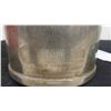 Image 3 : Coleman Lantern No 242 B Glass Lantern - has Damage