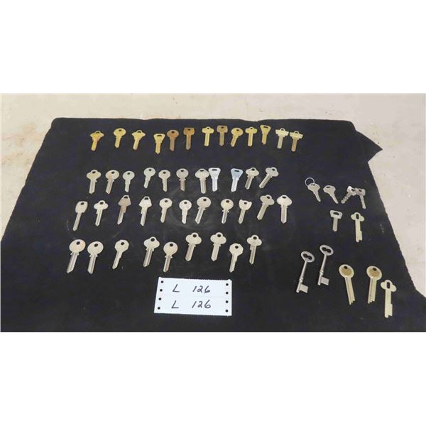 49 Uncut Keys, 25 Skeleton Keys, 4 Cut Keys