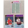 Image 14 : (27) 1970s Hockey Cards
