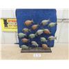 Image 1 : Aquarium Full of Fish Without the Mess 20'' x 4 1/2'' x 21''