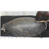 Image 3 : Wood Carved Duck Decoy Marked with Initials 'HT'