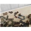 Image 6 : Quantity of Clevis, Pins, and Hooks