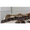 Image 15 : Tanned Hides : Rabbit, Coyote, Fox, Mink, Plus