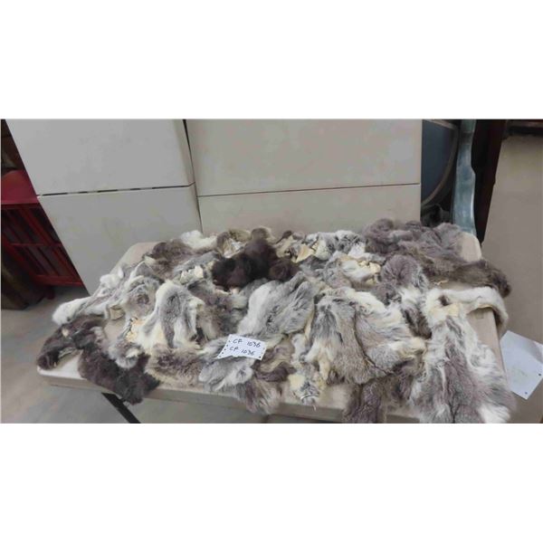 Tanned Hides : Rabbit, Coyote, Fox, Mink, Plus