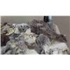 Image 3 : Tanned Hides : Rabbit, Coyote, Fox, Mink, Plus
