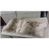 Image 6 : Tanned Hides : Rabbit, Coyote, Fox, Mink, Plus