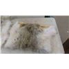 Image 7 : Tanned Hides : Rabbit, Coyote, Fox, Mink, Plus