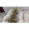 Image 8 : Tanned Hides : Rabbit, Coyote, Fox, Mink, Plus