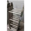 Image 2 : Aluminum Multi Ladder