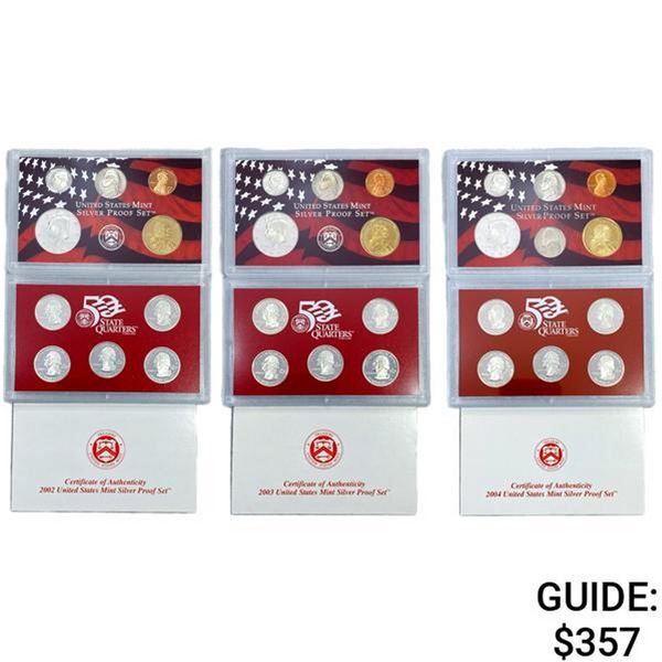 2002-2004 US Proof SILV Coin Sets [31 Coins]
