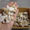 Image 2 : Lot of Cracked Quartz Geode Crystals 330 grams