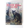 Image 2 : Black Bear & Cubs Plastic Assembly Kit - 1/10 Scale - Sealed