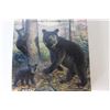 Image 4 : Black Bear & Cubs Plastic Assembly Kit - 1/10 Scale - Sealed