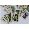 Image 4 : Vintage Red Rose Tea Collector Cards: African Animals, Tropical Birds