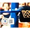 Image 2 : HULK HOGAN SIGNED 8 X 10 (BECKETT COA)
