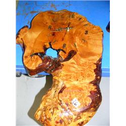 1 cross-section tree clock (36)