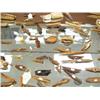 Image 8 : Outstanding collection of 100+ old Eskimo ivory artifacts: consisting of seal harpoons, net weights,