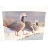 Image 2 : 1986 Canadian Duck Stamp Print #57 of 10840 by J. F. Landsdowne; 2 1985 Alaska Waterfowl Conservatio