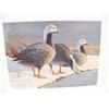 Image 3 : 1986 Canadian Duck Stamp Print #57 of 10840 by J. F. Landsdowne; 2 1985 Alaska Waterfowl Conservatio