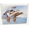 Image 5 : 1986 Canadian Duck Stamp Print #57 of 10840 by J. F. Landsdowne; 2 1985 Alaska Waterfowl Conservatio