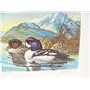 Image 6 : 1986 Canadian Duck Stamp Print #57 of 10840 by J. F. Landsdowne; 2 1985 Alaska Waterfowl Conservatio