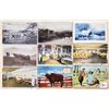 Image 2 : Dairy - Cows 60 Postcards