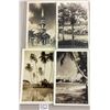 Image 2 : Real Photo Hawaii Postcards 35 Cards