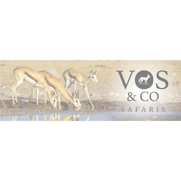 Vos & Co - Plain Game
