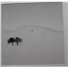 Image 2 : Ebru Sidar Don't Forget Us Winter Landscape
