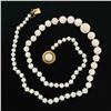 Image 8 : Antique Graduated White Angel Skin Coral Necklace & 14K Gold Hand Engraved Clasp