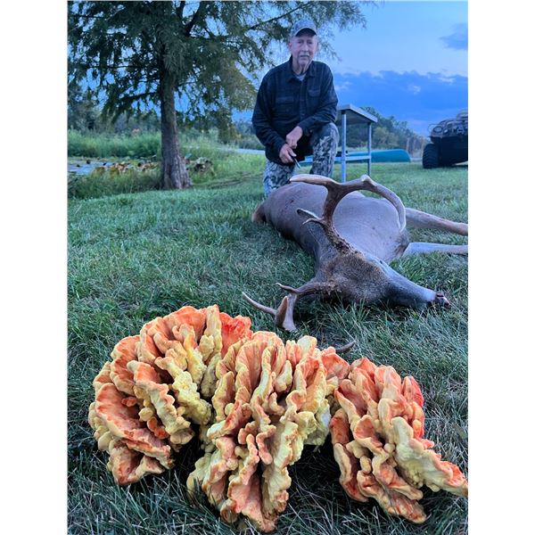 Missouri Archery/Crossbow Whitetail Hunt