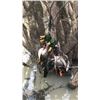 Image 11 : Arkansas Flooded Timber Duck Hunt