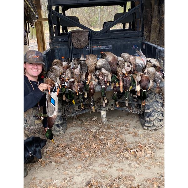 Arkansas Flooded Timber Duck Hunt