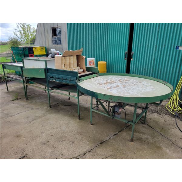 COMMERCIAL VEGETABLE WASH LINE (ELECTRIC) 10 foot conveyor, brushes & foam rollers, sorting table 5'