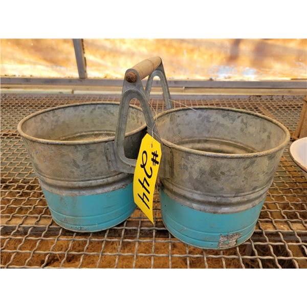 Antique metal container holds 2 plants