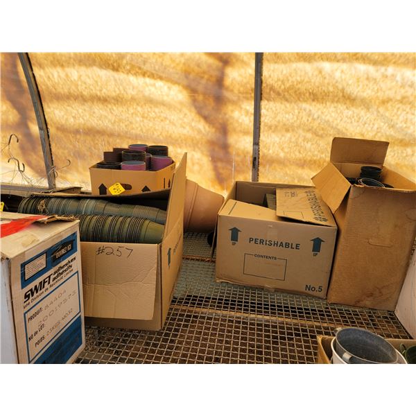 3 Boxes Pots, 4", 6", Plastic raspberry containers