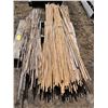 Image 2 : 3 bundles 8' bamboo stakes, 1- 5' bundle, 1- 2 1/2'