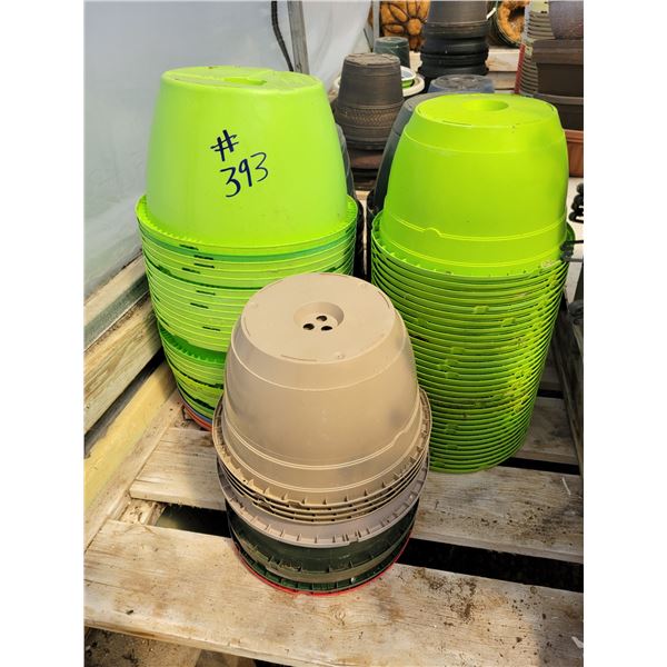 Asst 10" & 12" Hanging Baskets