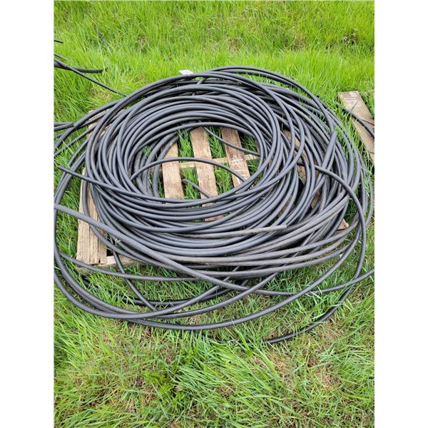 1/2" black hose