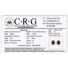 Image 6 : Rhodolite Garnet and Diamond Halo Earrings- Gem quality