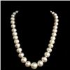 Image 2 : Rosy White South Sea Pearl Strand