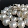 Image 6 : Rosy White South Sea Pearl Strand
